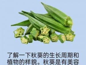 污秋葵草莓黄瓜荔枝丝瓜安装大全-请问污秋葵草莓黄瓜荔枝丝瓜安装大全在什么地方可以找到？