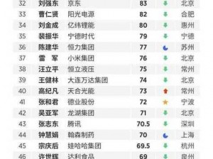 中国式富豪新手指南：全方位攻略汇总，掌握财富增长秘籍