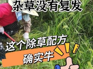 拔萝卜无减除大牛，高效除草不费劲