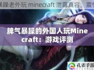 暴躁老外玩 minecraft 泄露真容，震惊