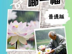 老人船上弄雨荷第十二集跚钢：优质钢材制作，坚固耐用