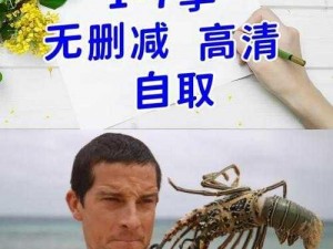 设计自己跟七个流浪汉的小说：体验荒野求生，挑战生存极限