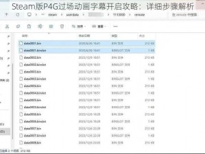 Steam版P4G过场动画字幕开启攻略：详细步骤解析