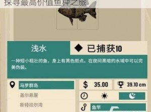 渔帆暗涌之下：深海珍稀鱼种价值揭秘，探寻最高价值鱼种之旅