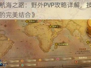 《大航海之路：野外PVP攻略详解，技巧与策略的完美结合》