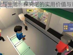 属性与生活：探究宅的实用价值与意义