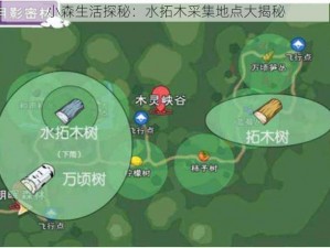 小森生活探秘：水拓木采集地点大揭秘