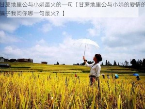 甘蔗地里公与小娟最火的一句【甘蔗地里公与小娟的爱情的骗子我问你哪一句最火？】