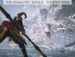 中国 HDvideo100：高清画质，带来震撼视觉体验