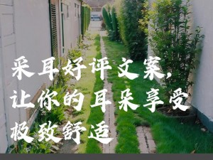 专业成熟交提供，让你享受极致体验