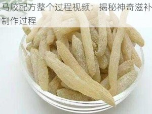 人马胶配方整个过程视频：揭秘神奇滋补品的制作过程