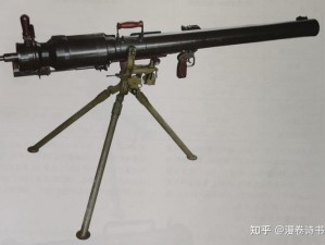 灰熊：强大武器与独特军事价值解析