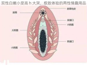 双性白嫩小受高 h 大哭，极致体验的两性情趣用品