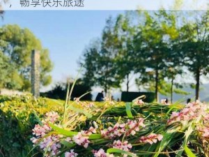 快乐风哥青旅 2022 美团：提供舒适住宿，畅享快乐旅途