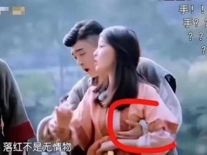 男的把 J 放进女人的小 J 视频：探索私密世界的极致体验