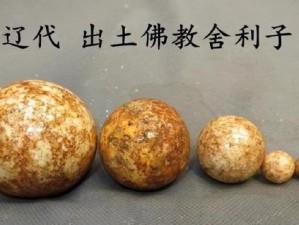 舍利子所在部位探究：佛教文化中的神秘符号解析