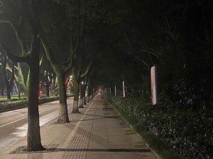 夜色 99 视频多人聊天室：激情无限的深夜派对