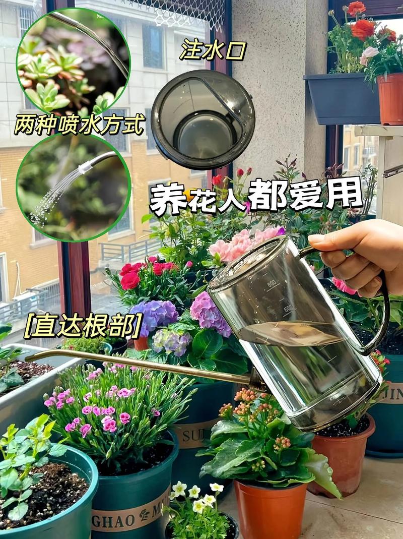 引水浇花：乐趣与简介的探索