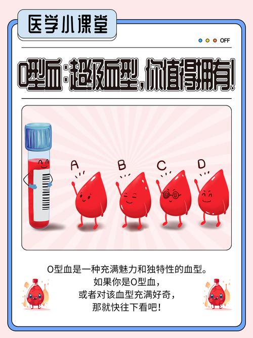 常人真图十大 B 型：舒适与健康完美结合，你值得拥有