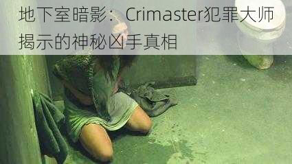 地下室暗影：Crimaster犯罪大师揭示的神秘凶手真相