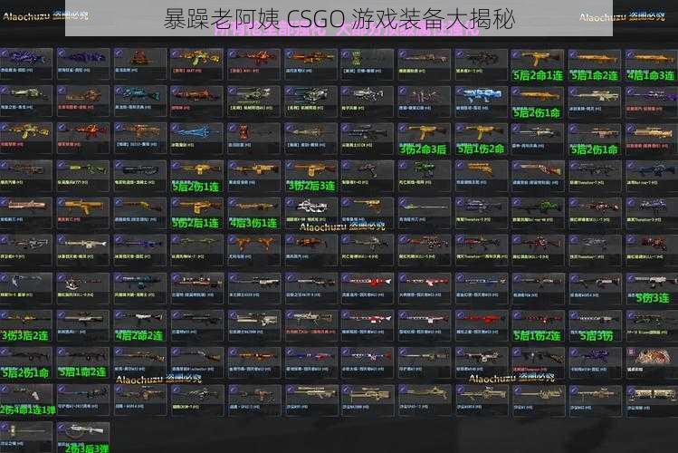 暴躁老阿姨 CSGO 游戏装备大揭秘