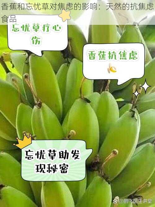 香蕉和忘忧草对焦虑的影响：天然的抗焦虑食品