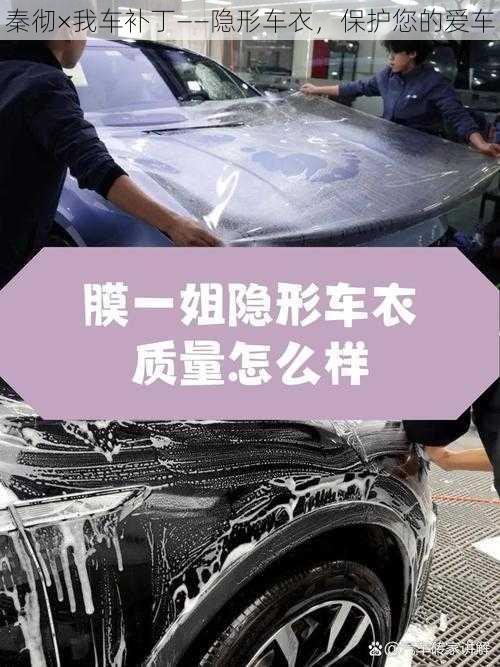 秦彻×我车补丁——隐形车衣，保护您的爱车