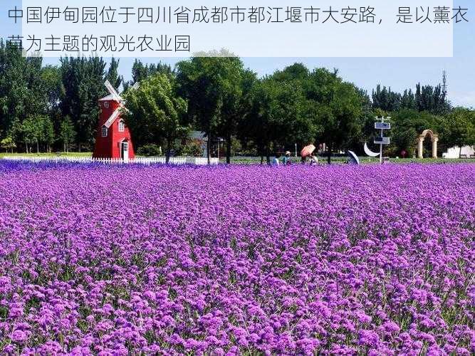 中国伊甸园位于四川省成都市都江堰市大安路，是以薰衣草为主题的观光农业园