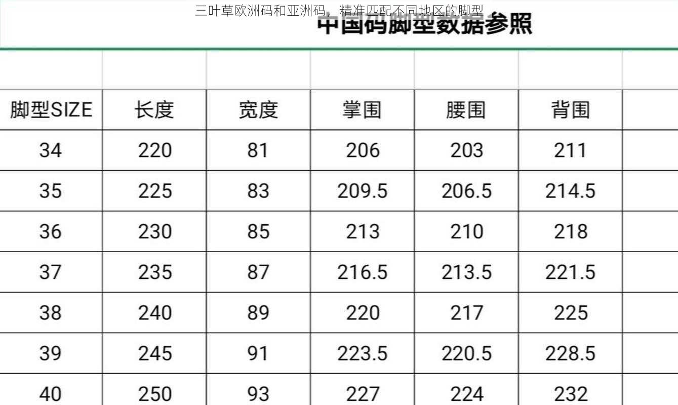 三叶草欧洲码和亚洲码，精准匹配不同地区的脚型