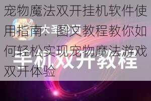 宠物魔法双开挂机软件使用指南：图文教程教你如何轻松实现宠物魔法游戏双开体验