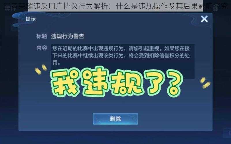 王者荣耀违反用户协议行为解析：什么是违规操作及其后果影响探究