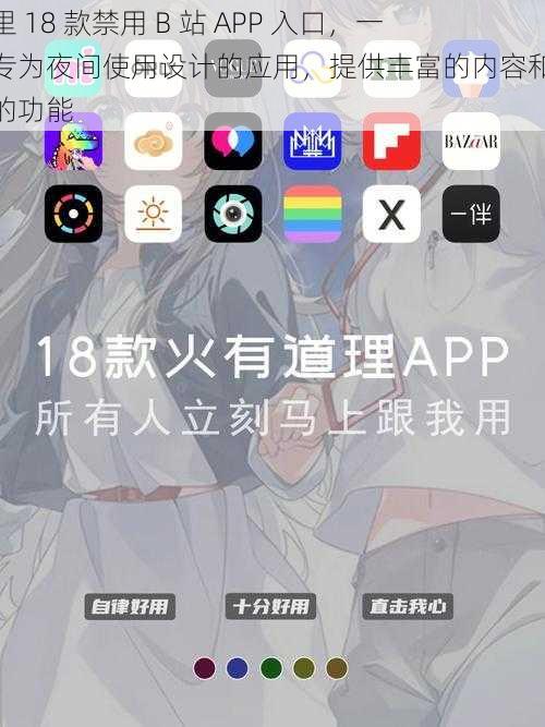 夜里 18 款禁用 B 站 APP 入口，一款专为夜间使用设计的应用，提供丰富的内容和便捷的功能