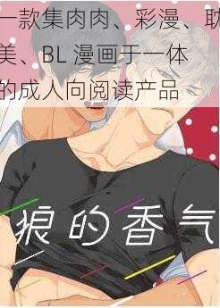 一款集肉肉、彩漫、耽美、BL 漫画于一体的成人向阅读产品