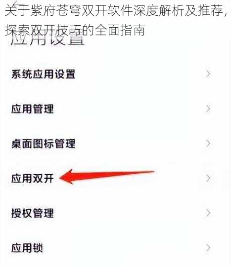 关于紫府苍穹双开软件深度解析及推荐，探索双开技巧的全面指南