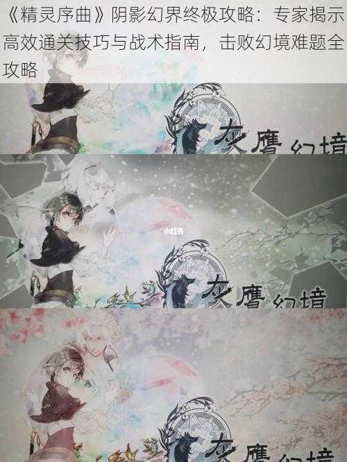 《精灵序曲》阴影幻界终极攻略：专家揭示高效通关技巧与战术指南，击败幻境难题全攻略