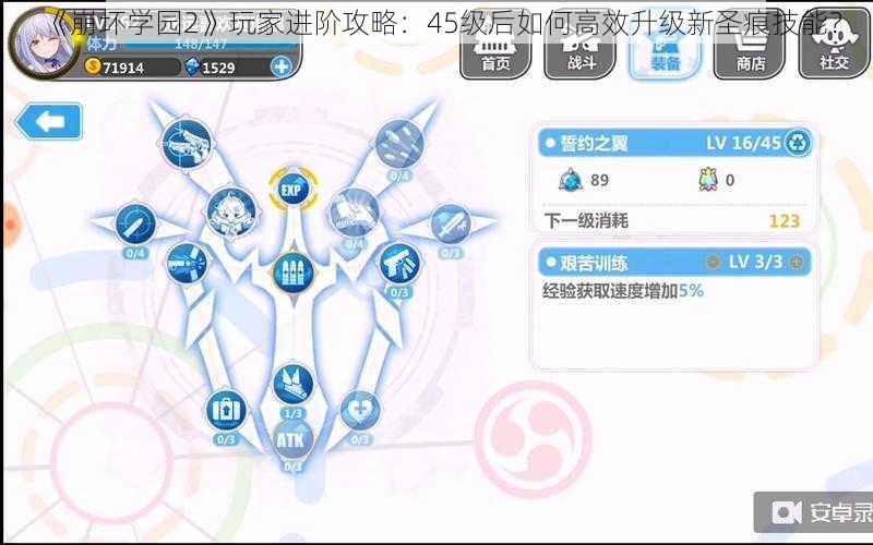 《崩坏学园2》玩家进阶攻略：45级后如何高效升级新圣痕技能？