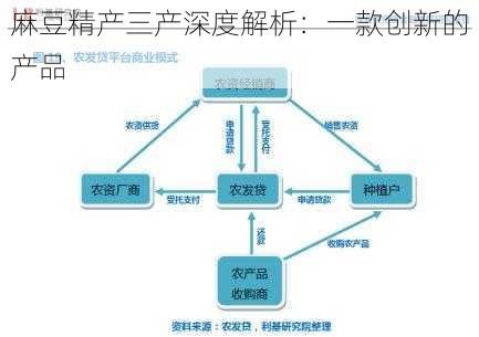 麻豆精产三产深度解析：一款创新的产品