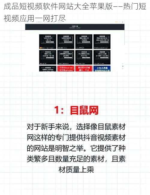 成品短视频软件网站大全苹果版——热门短视频应用一网打尽