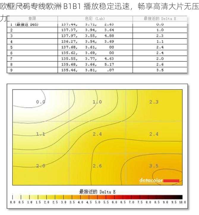 欧亚尺码专线欧洲 B1B1 播放稳定迅速，畅享高清大片无压力