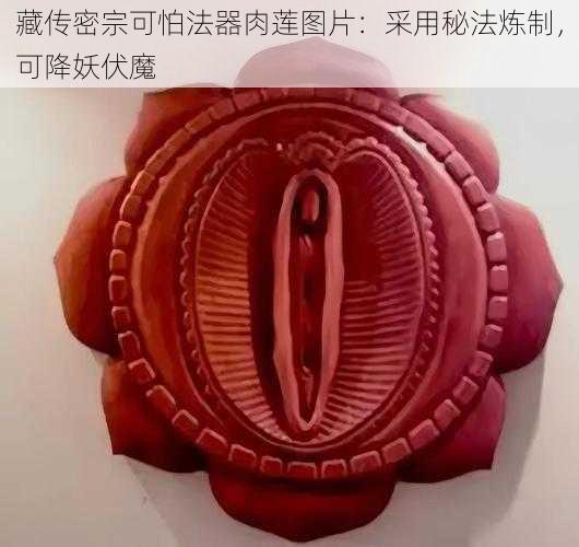 藏传密宗可怕法器肉莲图片：采用秘法炼制，可降妖伏魔