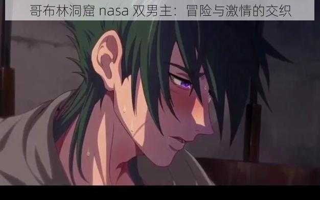 哥布林洞窟 nasa 双男主：冒险与激情的交织