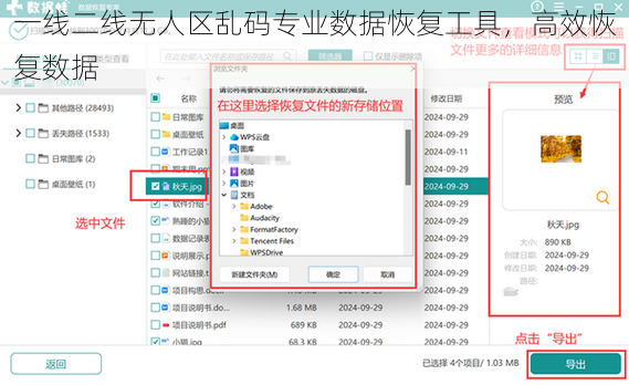 一线二线无人区乱码专业数据恢复工具，高效恢复数据