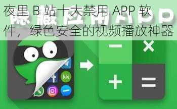 夜里 B 站十大禁用 APP 软件，绿色安全的视频播放神器