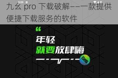 九幺 pro 下载破解——一款提供便捷下载服务的软件