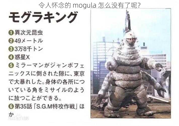 令人怀念的 mogula 怎么没有了呢？