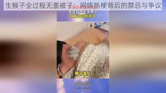 生猴子全过程无盖被子：网络热梗背后的禁忌与争议