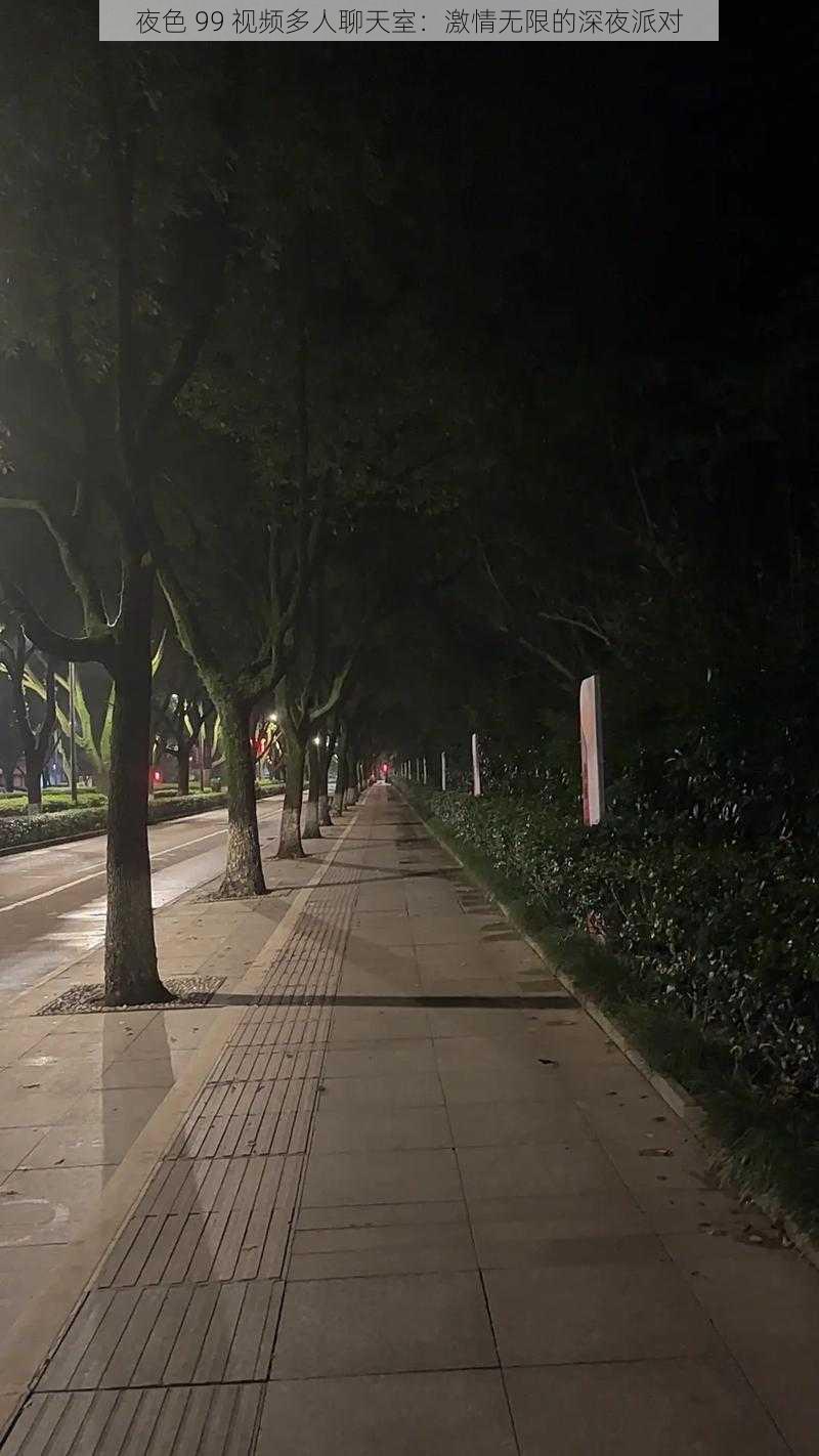 夜色 99 视频多人聊天室：激情无限的深夜派对