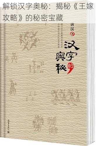 解锁汉字奥秘：揭秘《王嫁攻略》的秘密宝藏