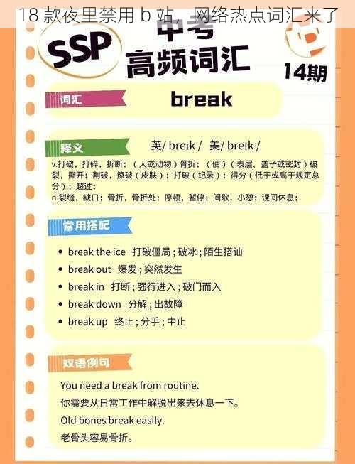 18 款夜里禁用 b 站，网络热点词汇来了