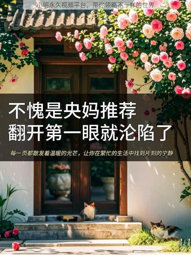 小明永久视频平台，带你领略不一样的世界